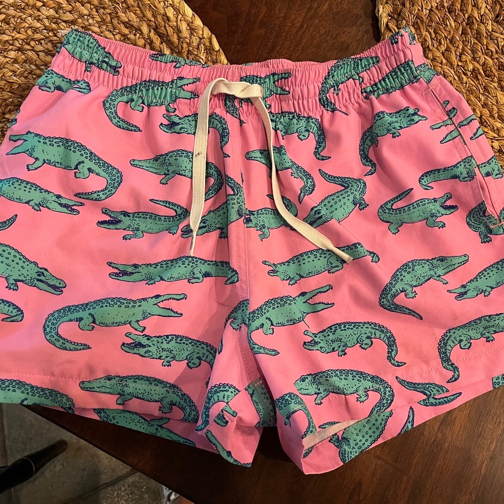 Chubbies swim trunks